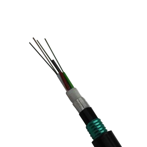 Double-armored-cable-3